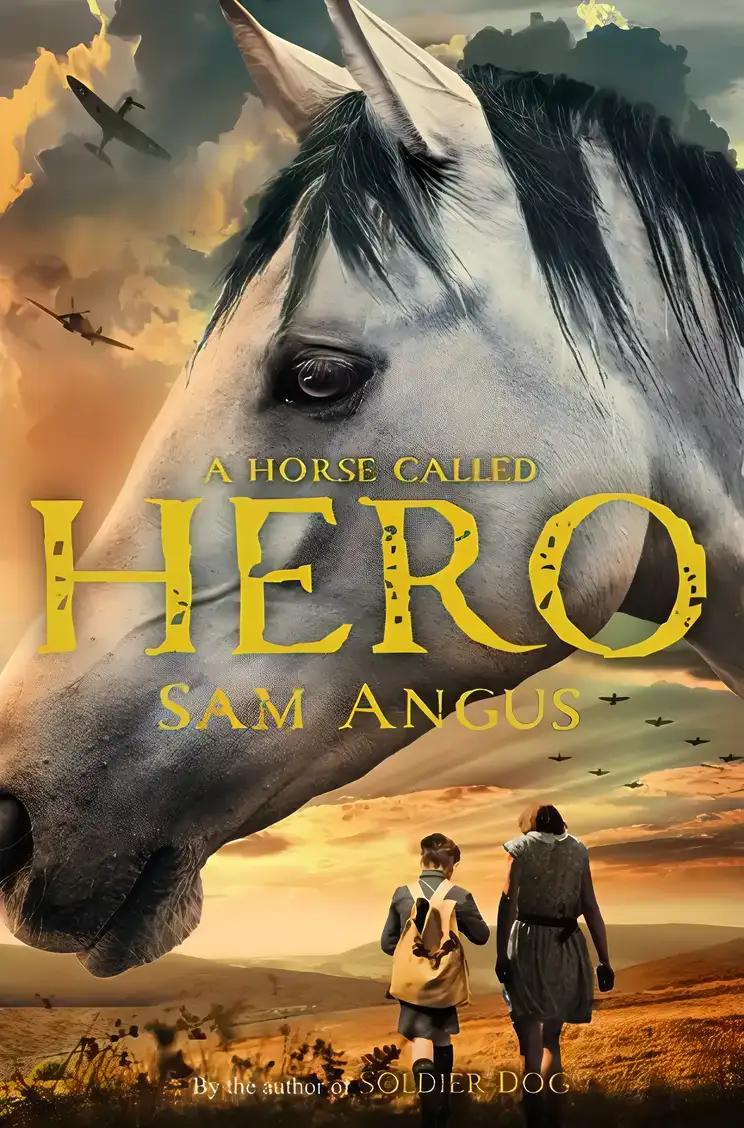 A Horse Called Hero