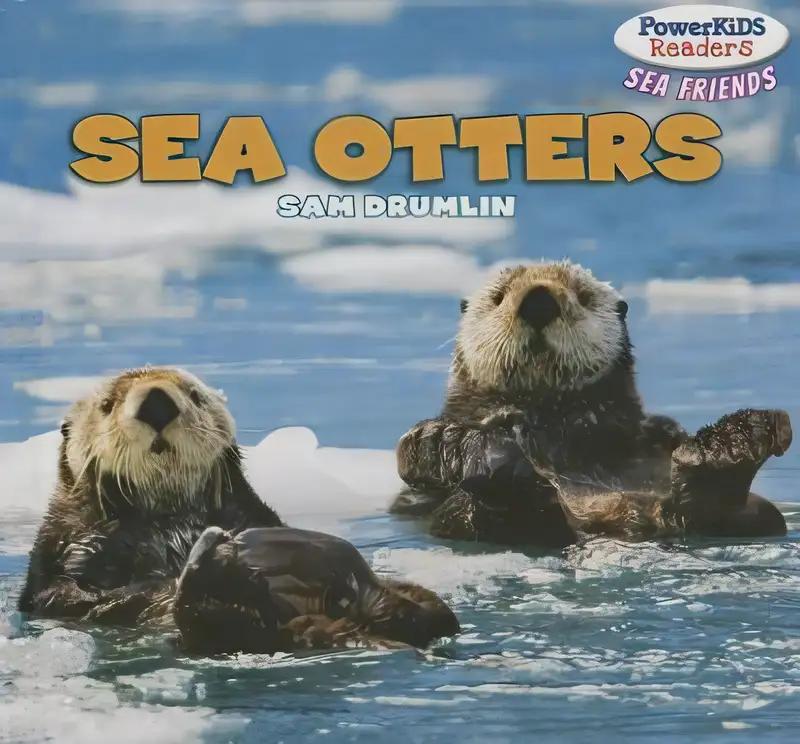 Sea Otters