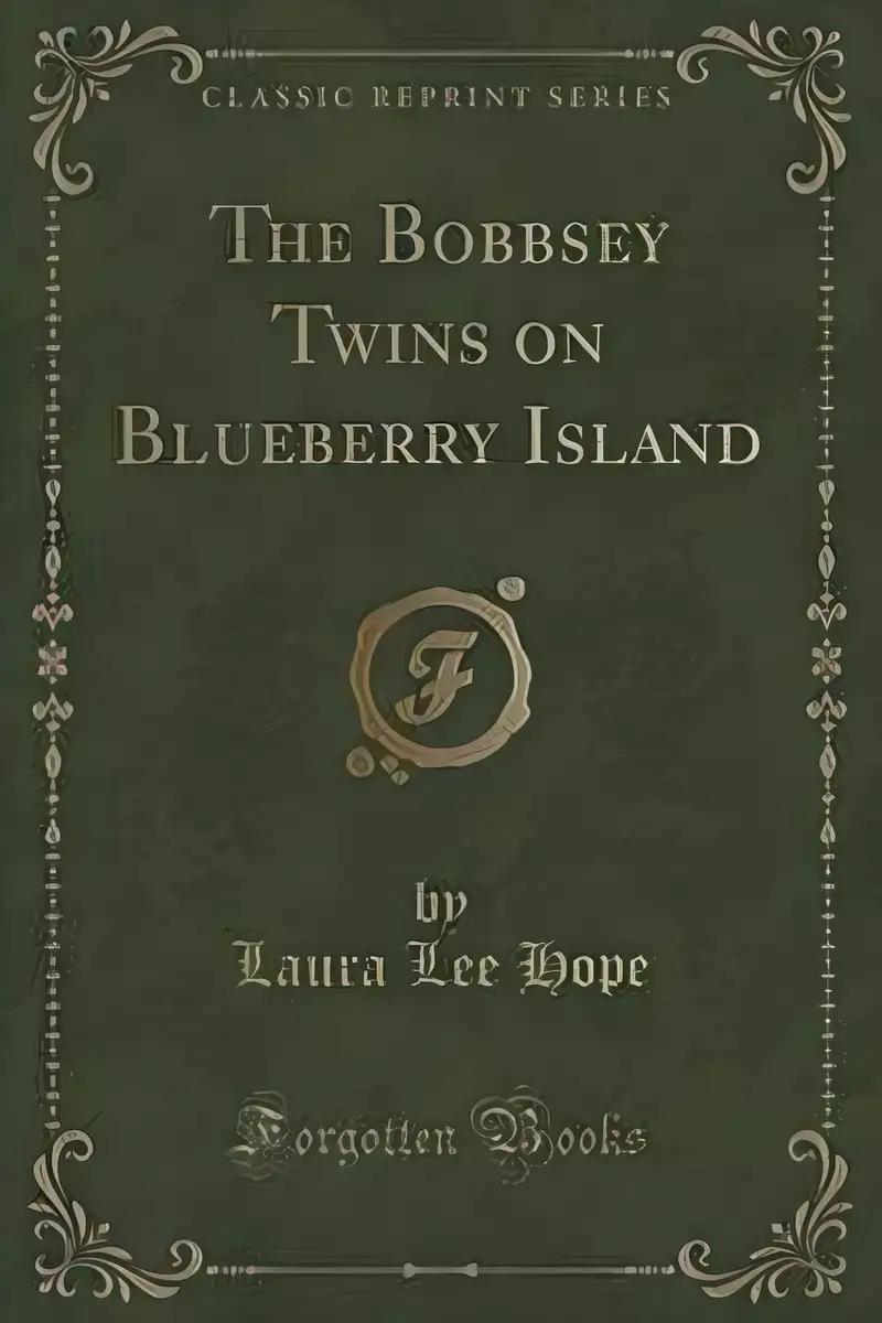 The Bobbsey Twins on Blueberry Island