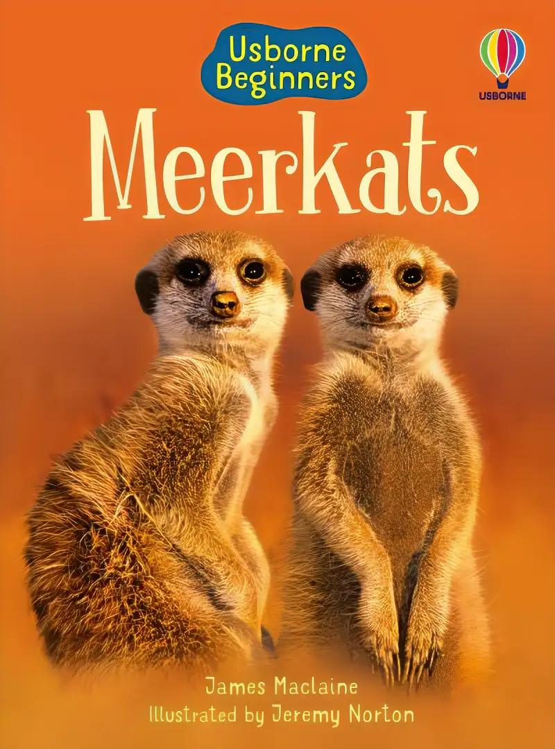 Meerkats