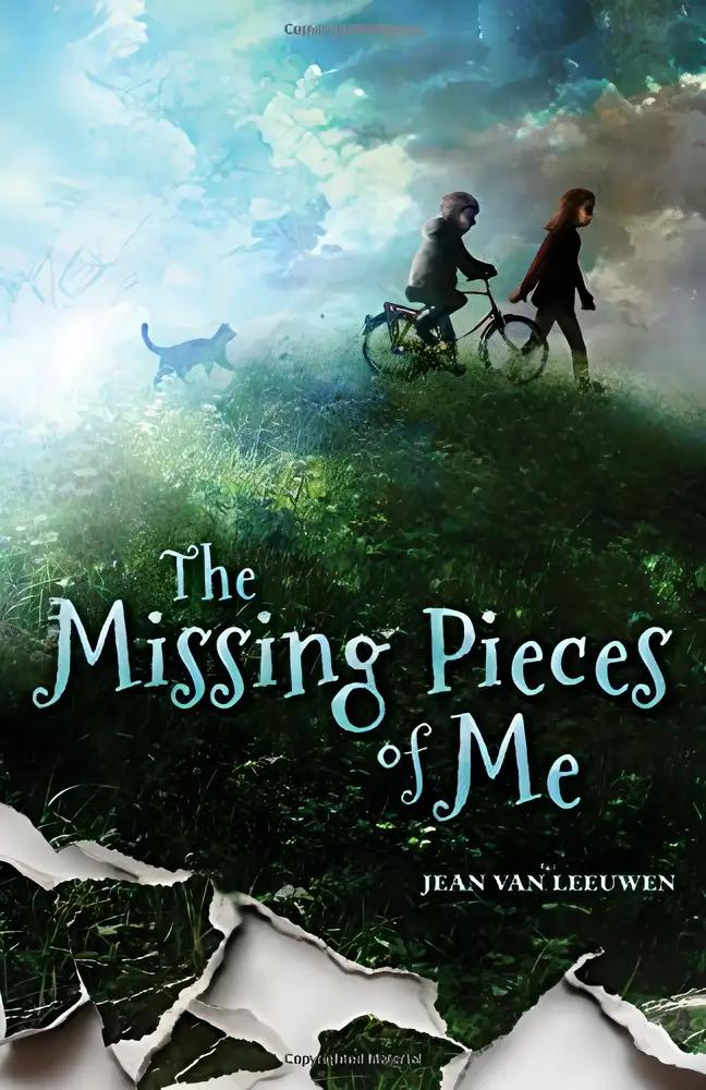 The Missing Pieces of Me