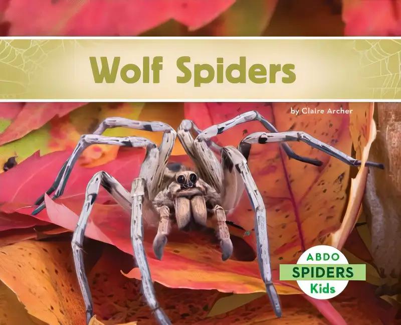 Wolf Spiders