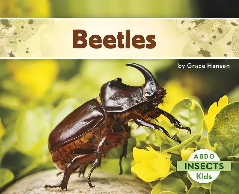 Beetles