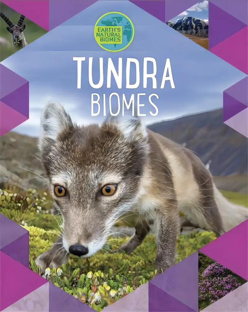 Earth's Natural Biomes: Tundra