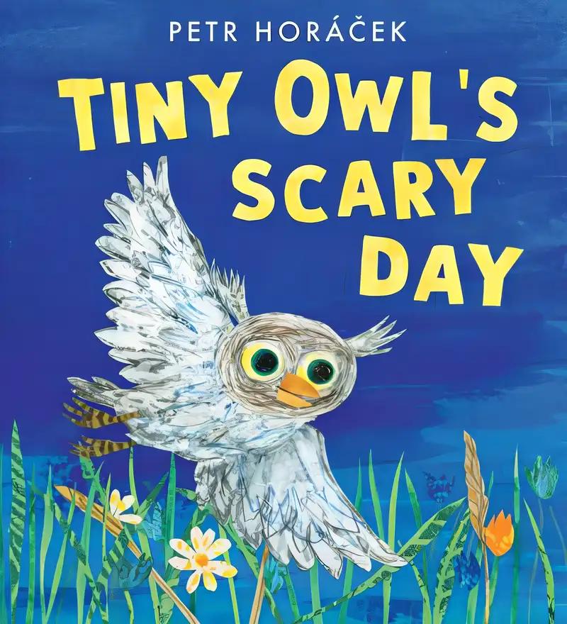 Tiny Owl's Scary Day