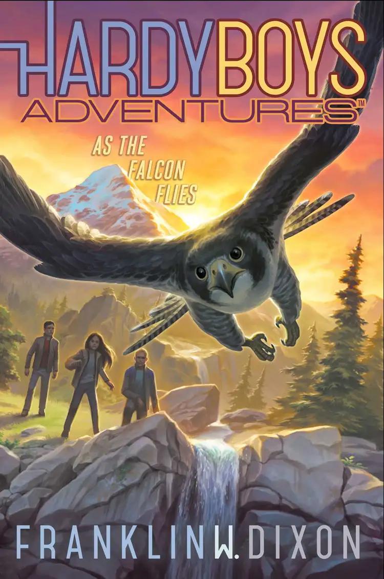 As the Falcon Flies: Hardy Boys Adventures, Book 24