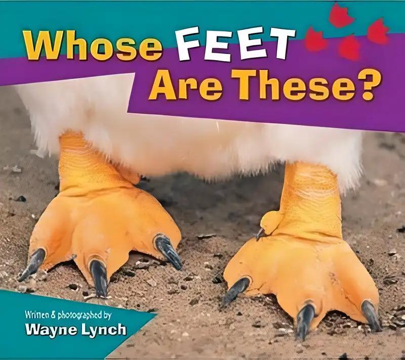 Whose Feet Are These?