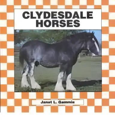 Clydesdale Horses (Horses