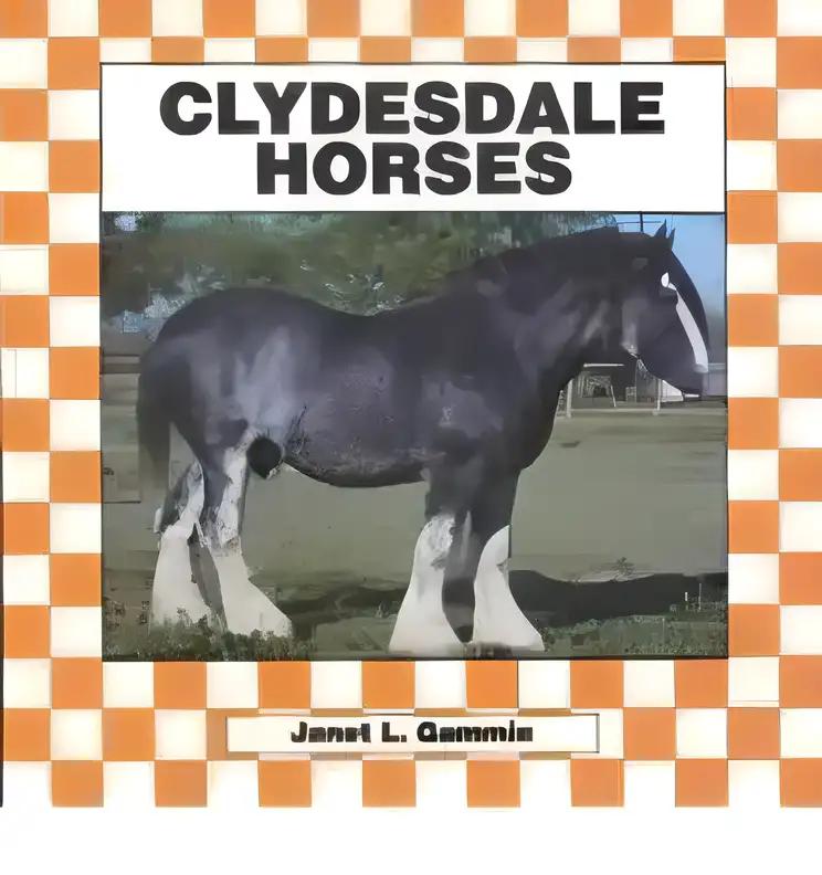 Clydesdale Horses (Horses