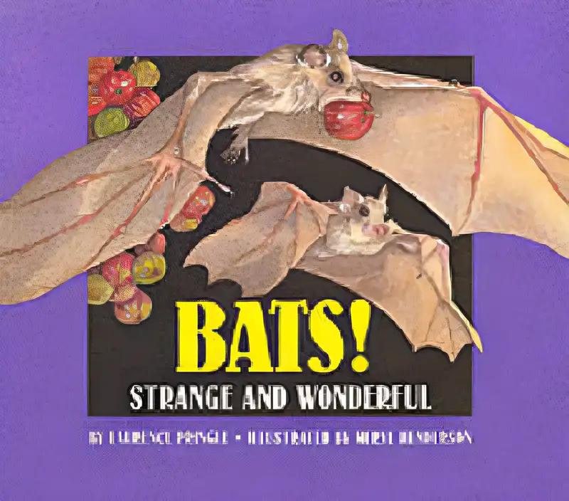 Bats!: Strange and Wonderful