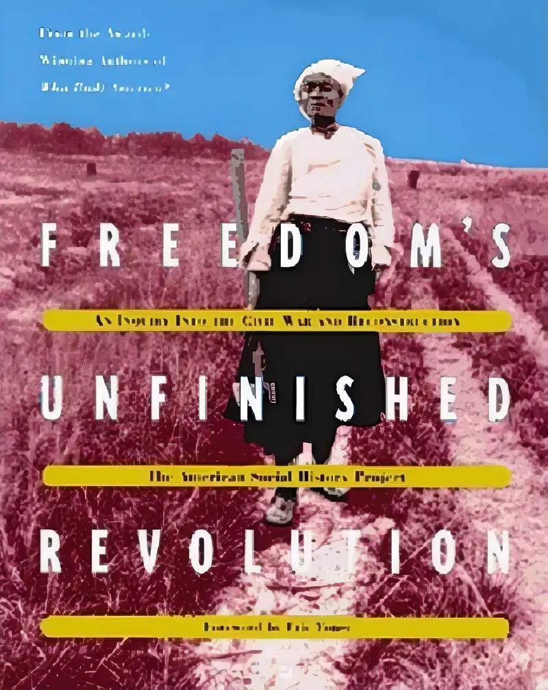 Freedom's Unfinished Revolution: An Inquiry into the Civil War and Reconstruction (American Social History Project)