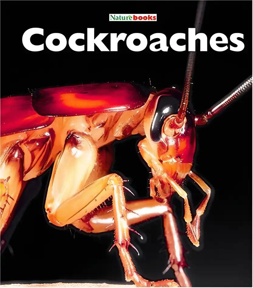 Cockroaches