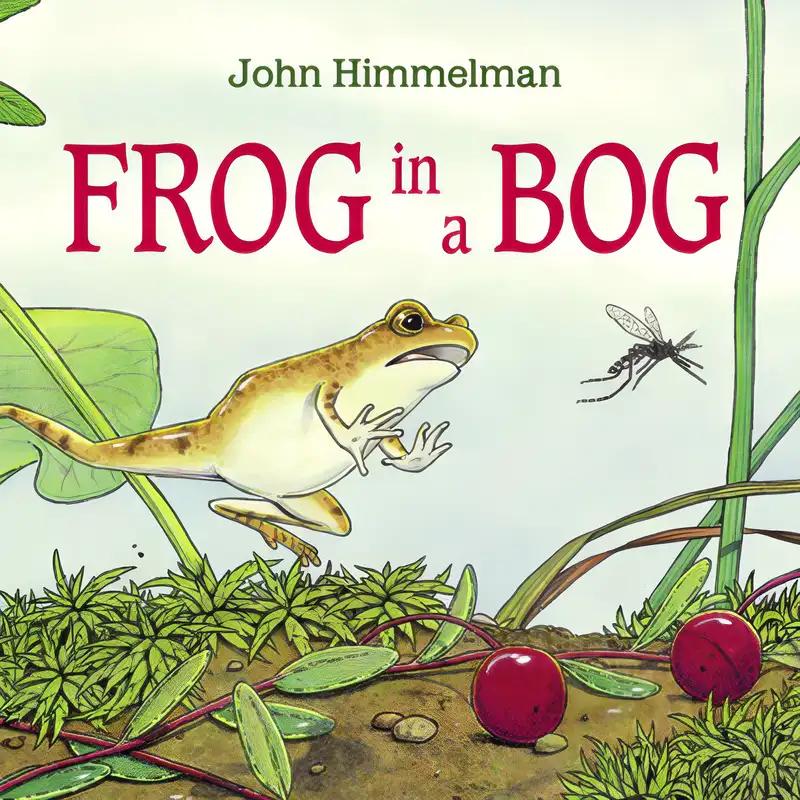 Frog in a Bog