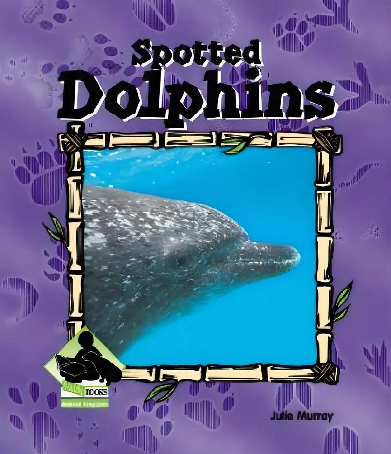 Spotted Dolphin