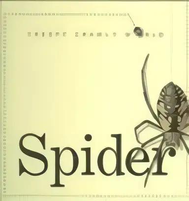 Spider