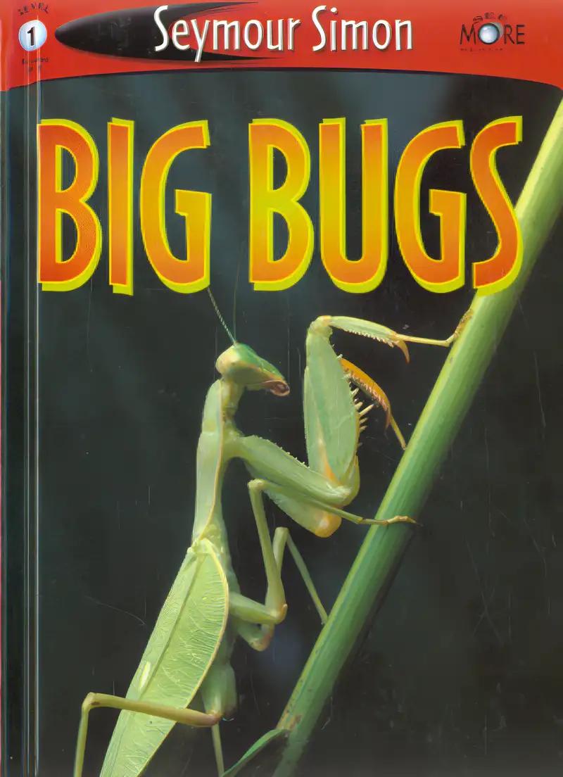 Big Bugs