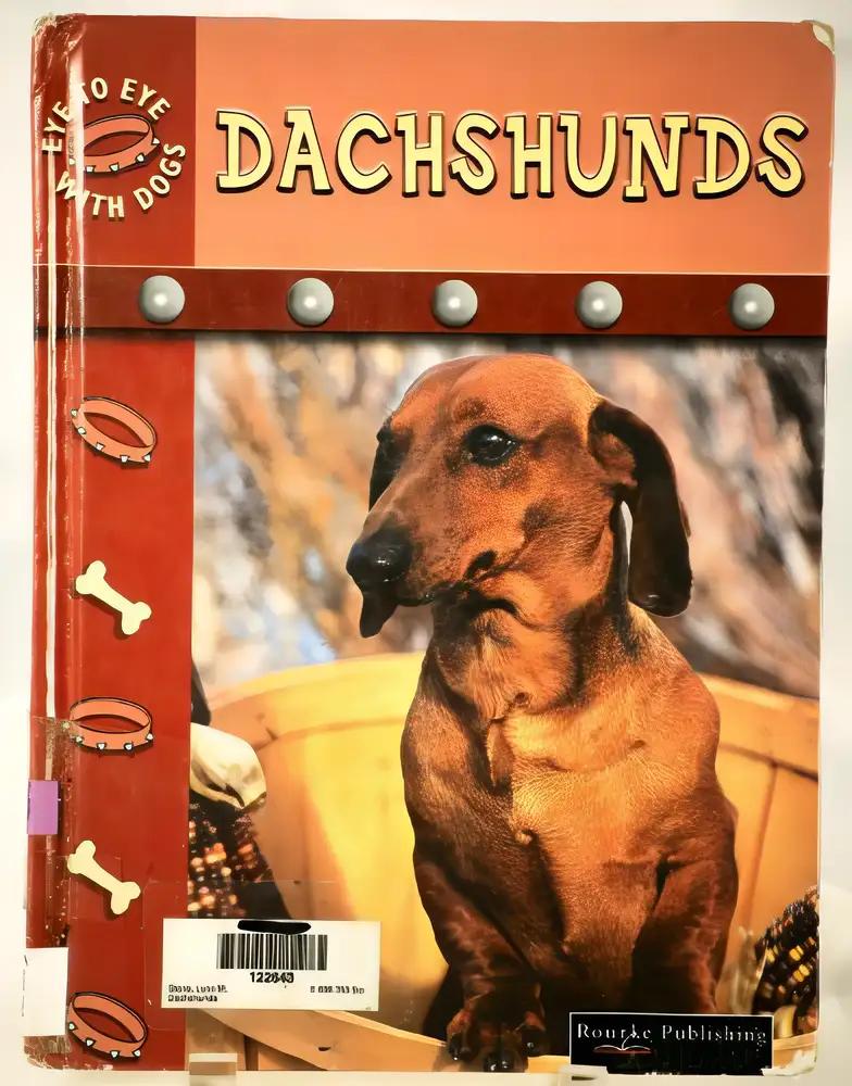 Dachshunds