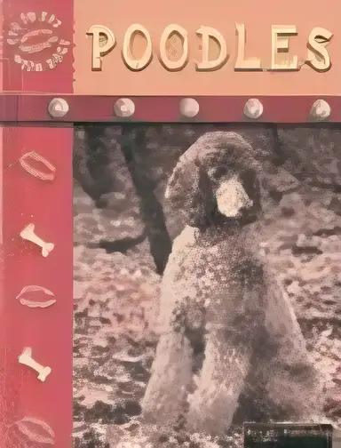 Poodles