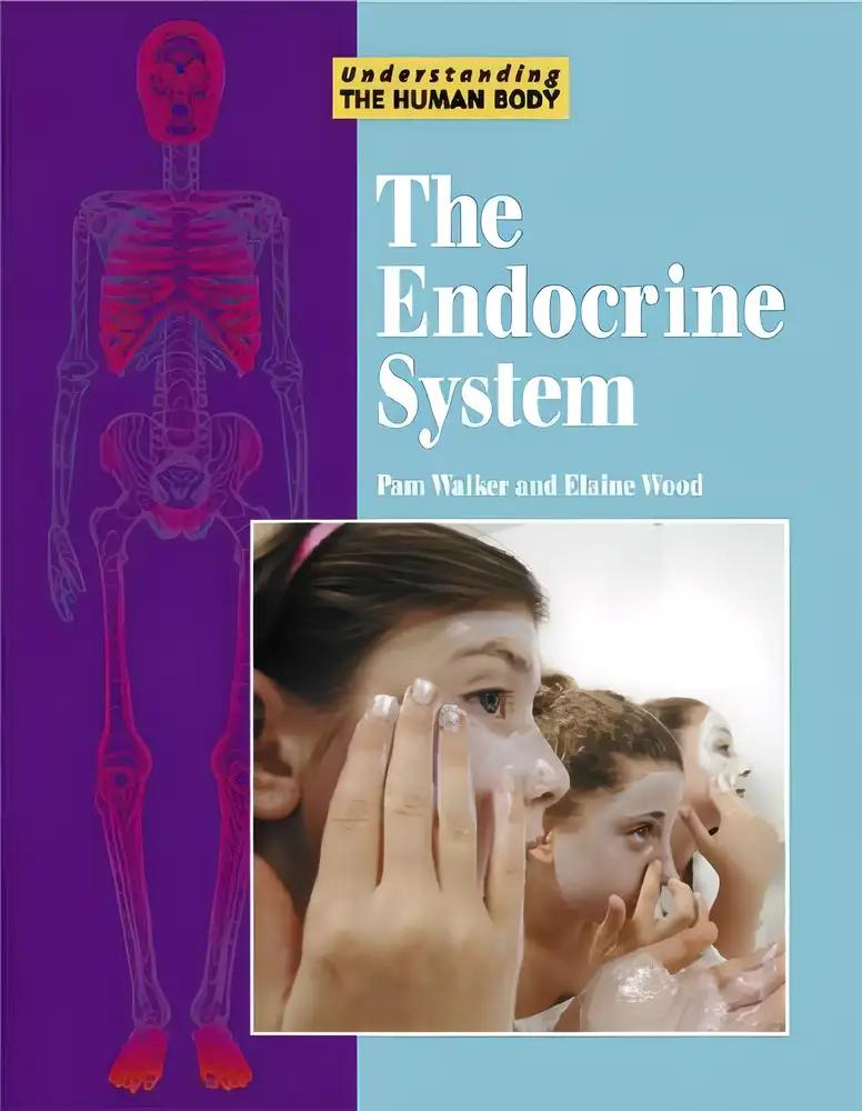 The Endocrine System