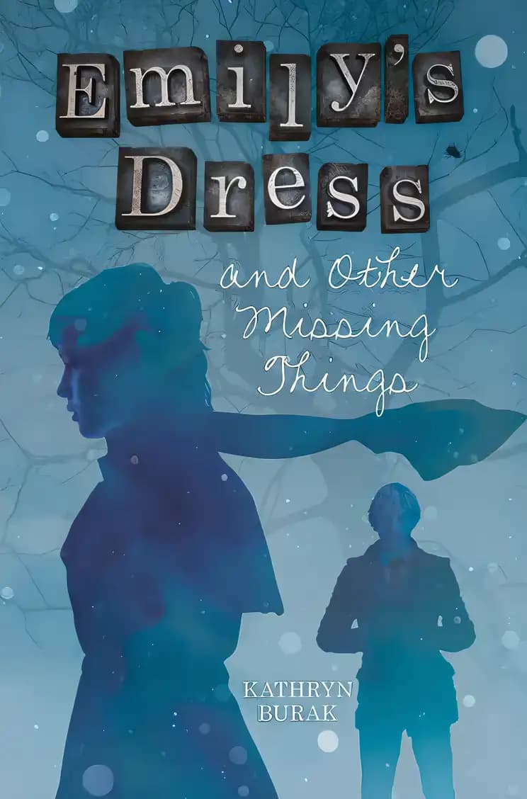 Book cover of 'Emily's Dress and Other Missing Things'