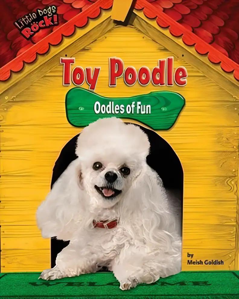 Toy Poodle: Oodles of Fun (Little Dogs Rock!)