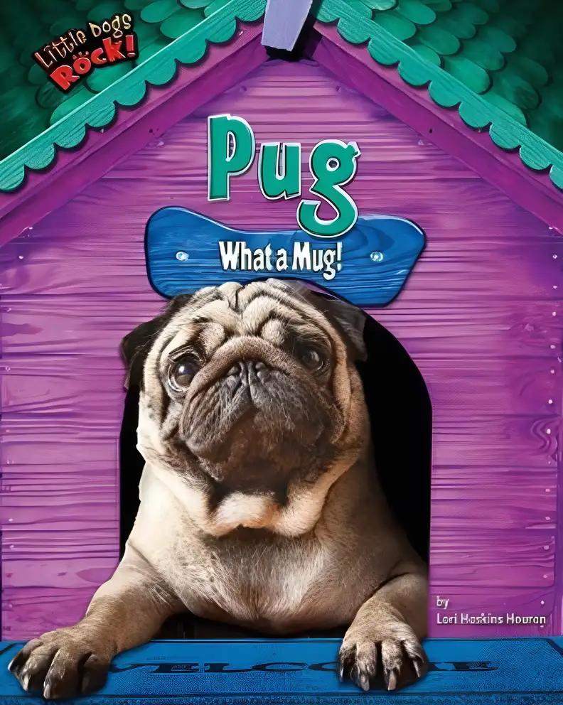 Pug: What a Mug! (Little Dogs Rock!)