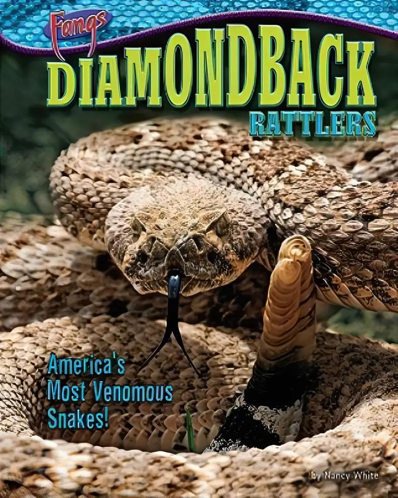 Diamondback Rattlers: America's Most Venomous Snakes! (Fangs)