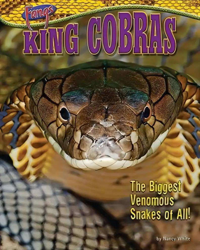 King Cobras: The Biggest Venomous Snakes of All! (Fangs)