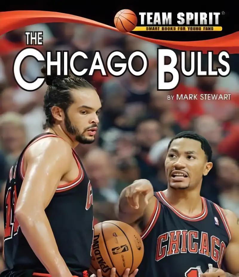 Chicago Bulls, the (Team Spirit)