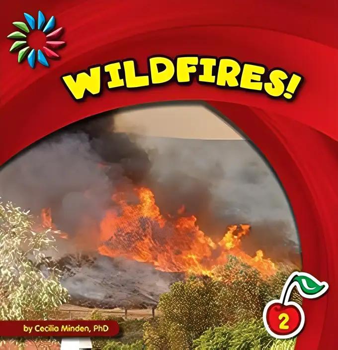 Wildfires! (21st Century Basic Skills Library: Natural Disasters)