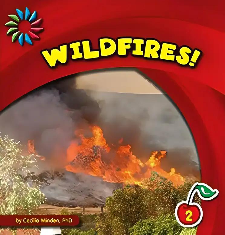 Wildfires! (21st Century Basic Skills Library: Natural Disasters)