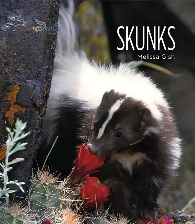 Skunks