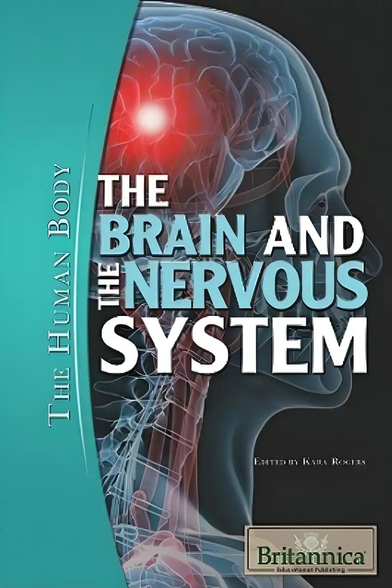 The Brain and the Nervous System (The Human Body)