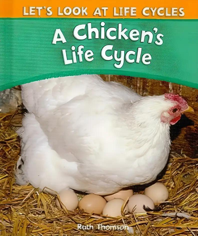 A Chicken's Life Cycle (Let's Look at Life Cycles)