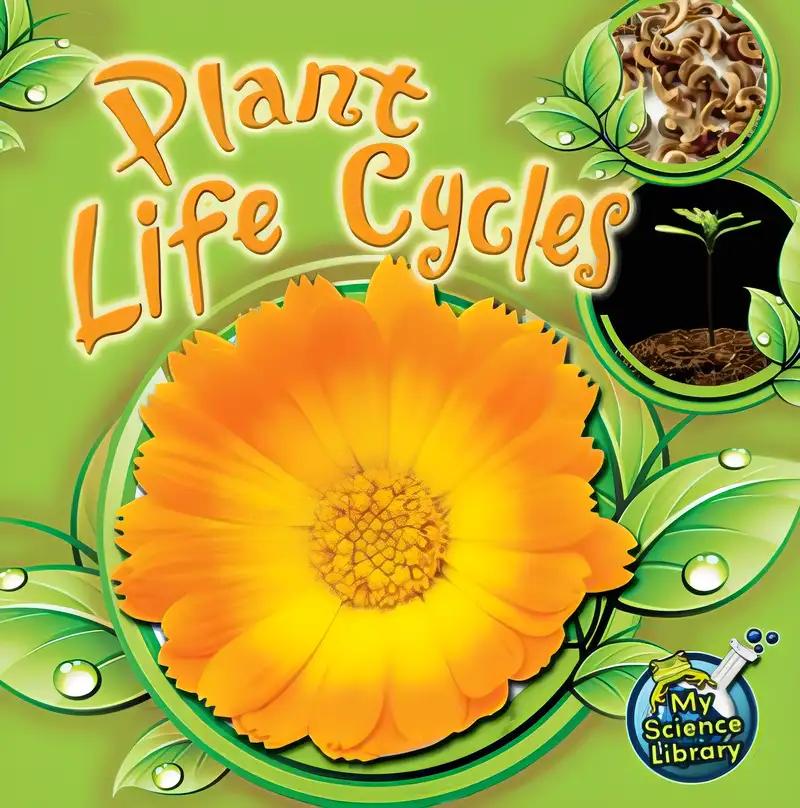 Rourke Educational Media Plant Life Cycles (My Science Library)