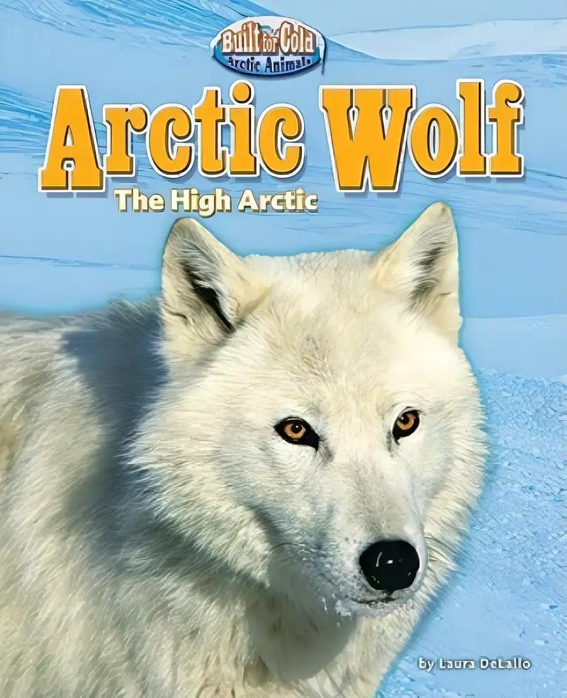 Arctic Wolf: The High Arctic (Built for the Cold: Arctic Animals)