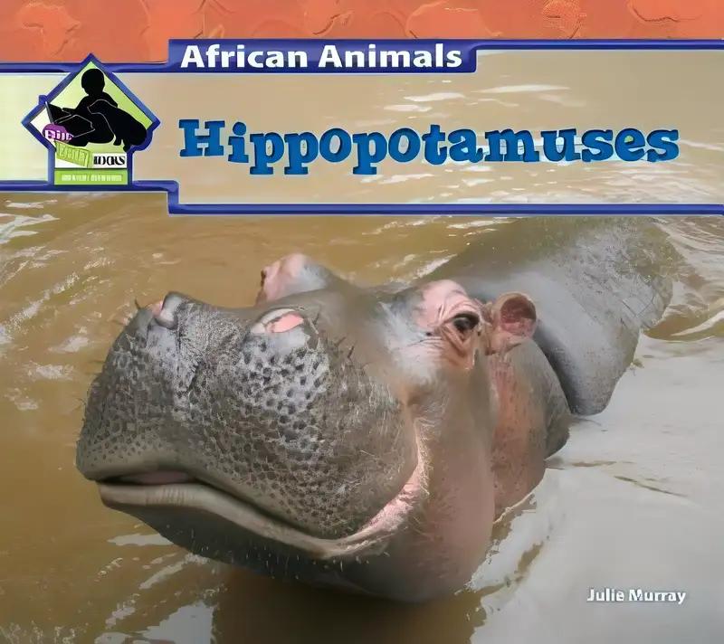 Hippopotamuses