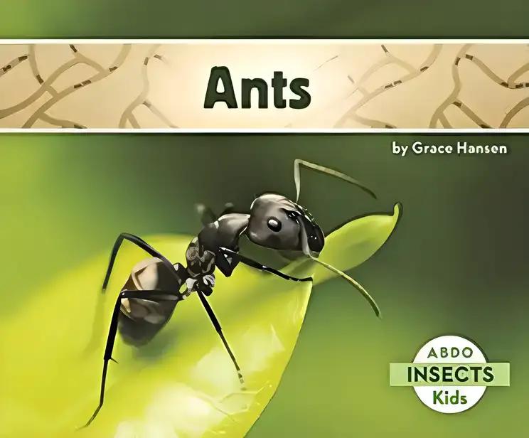 Ants