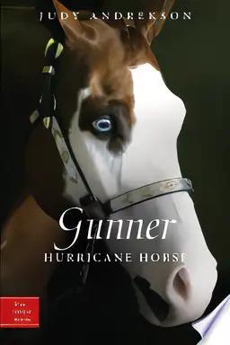 Gunner: Hurricane Horse (True Horse Stories)