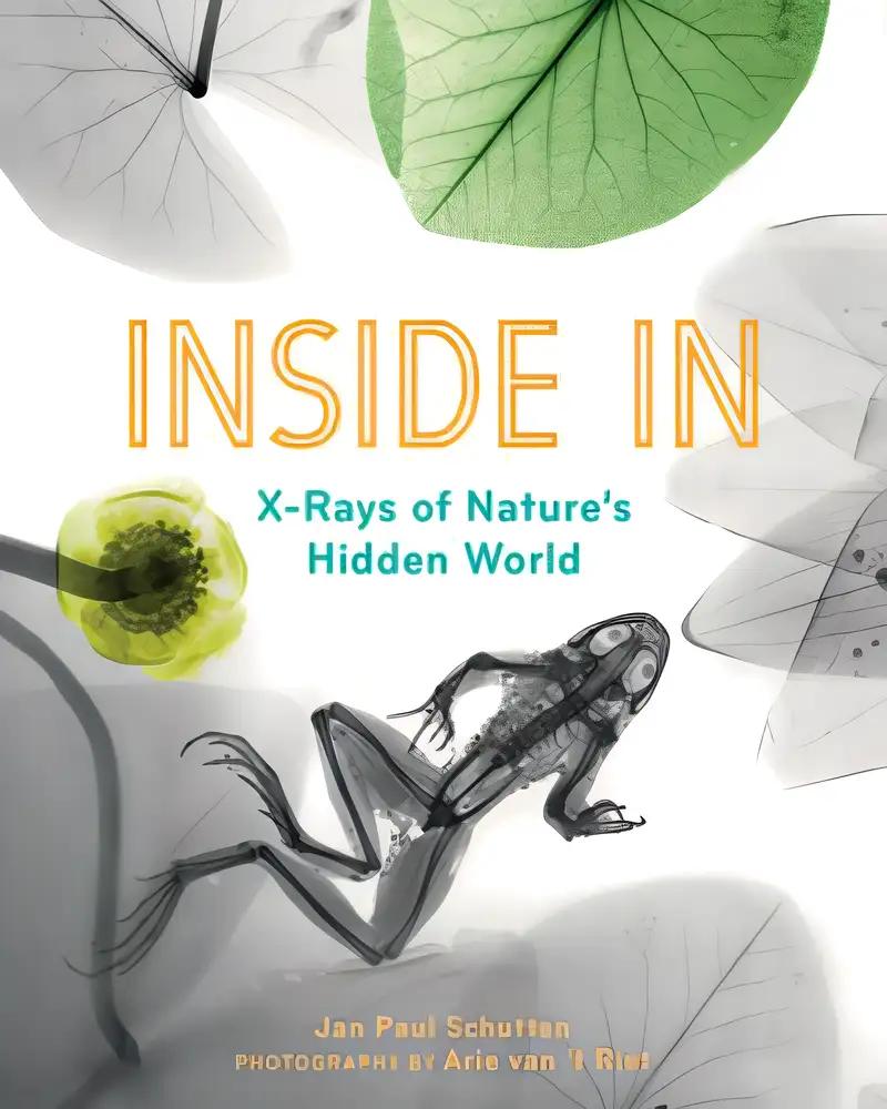 Inside In: X-Rays of Nature's Hidden World