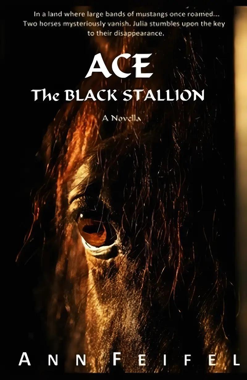 Ace, The Black Stallion (Mystery Horse Lover's)