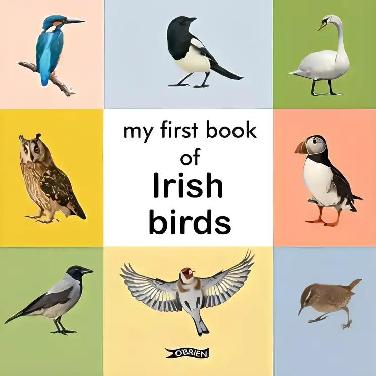 My First Book of Irish Birds