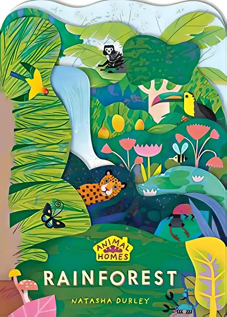 Animal Homes: Rainforest