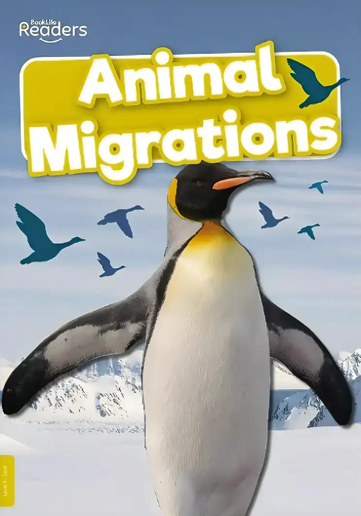 Animal Migrations