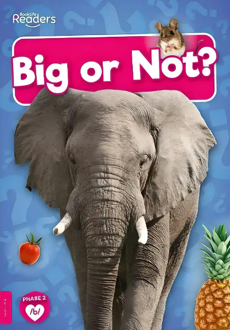 Big or Not?: (BookLife Non-Fiction Readers)