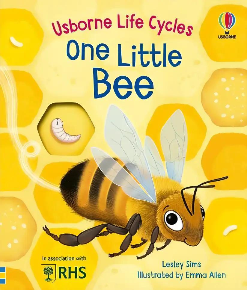 One Little Bee: Life Cycles