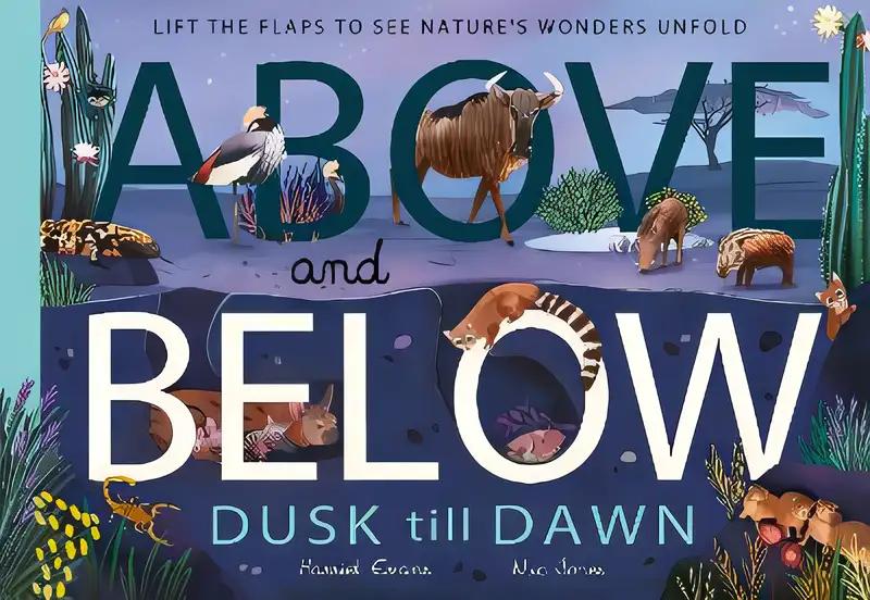 Above and Below: Dusk till Dawn: Lift the flaps to see nature's wonders unfold