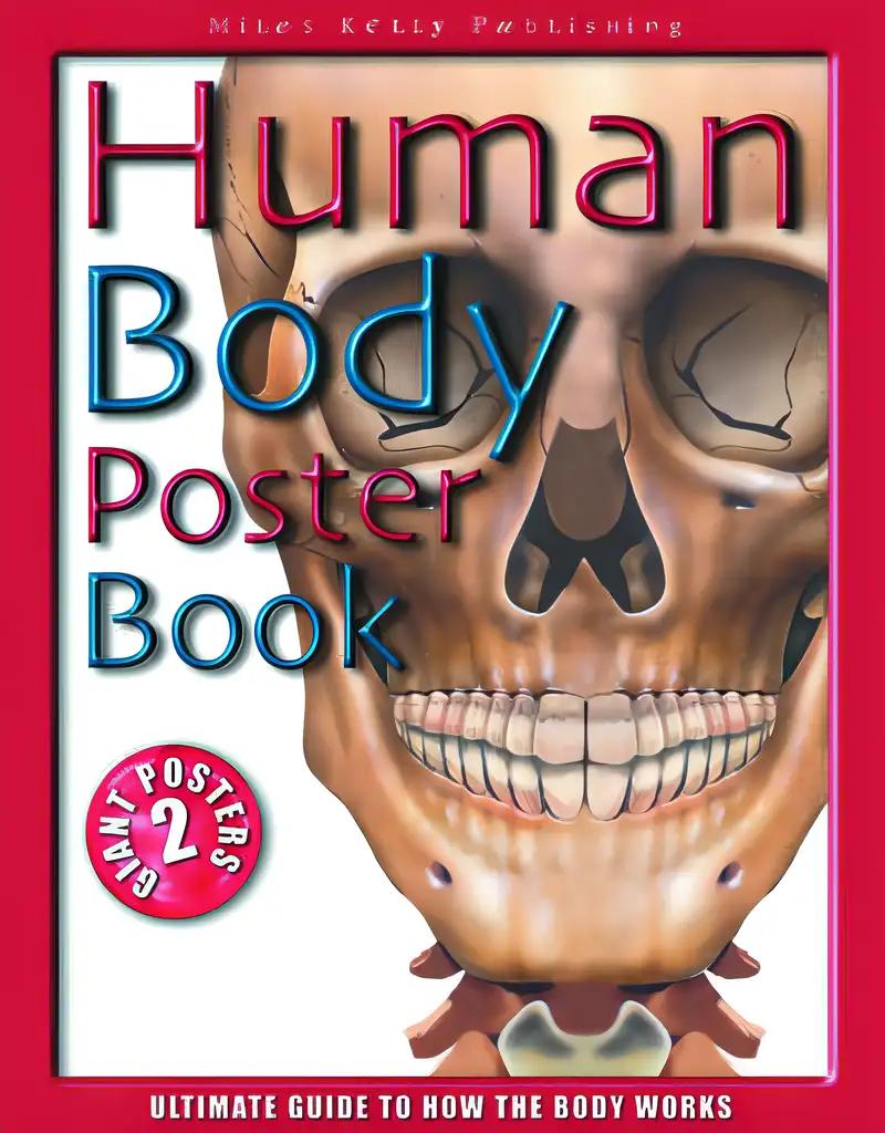 Bulletpoints: Human Body