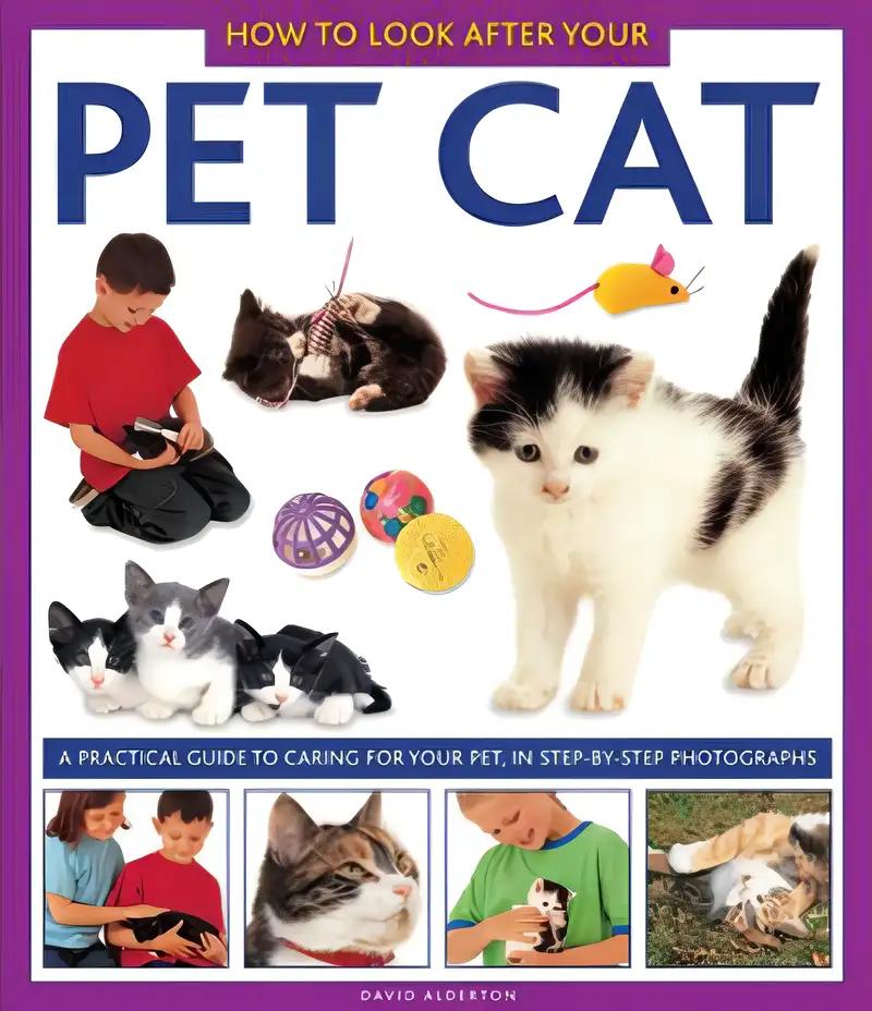 How To Look After Your Pet Cat: A practical guide to caring for your pet, in step-by-step photographs