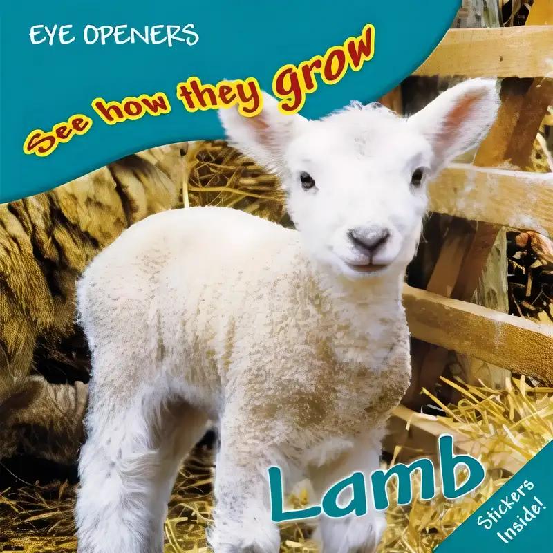 Lamb